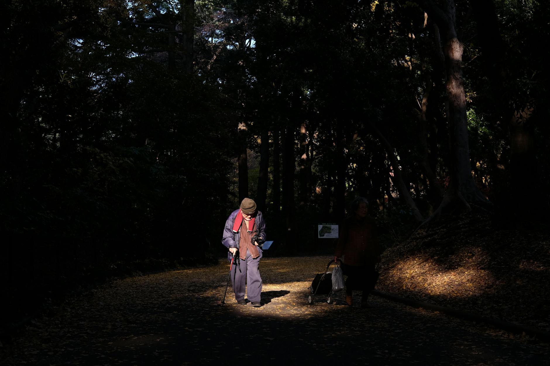 You are currently viewing 식사 뒤 계속 졸음이 오는 5가지 이유와 생활에서의 해결책