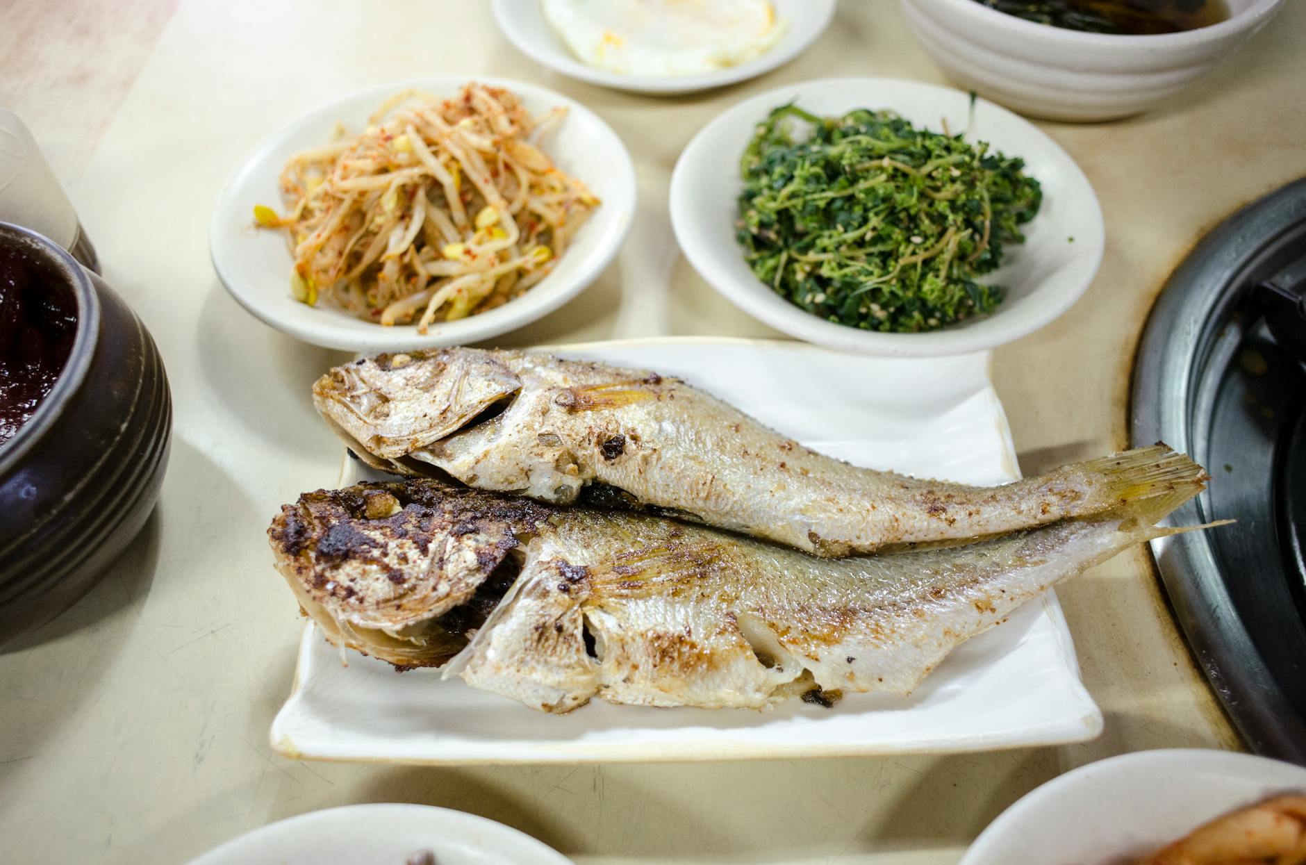 Read more about the article 식사량이 적은데도 속이 불편한 이유 5가지와 꼭 볼 점