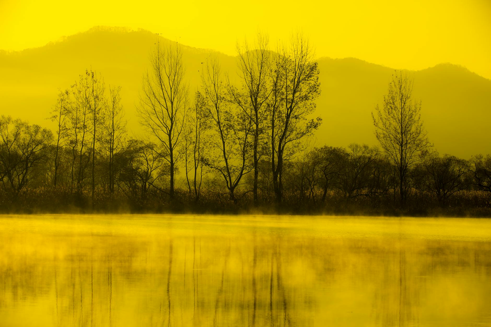 Read more about the article 아침에 손이 뻣뻣한 이유 5가지와 꼭 봐야 할 신호