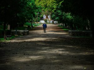 Read more about the article 60대가 조금만 걸어도 다리가 무거운 5가지 원인과 실천 팁